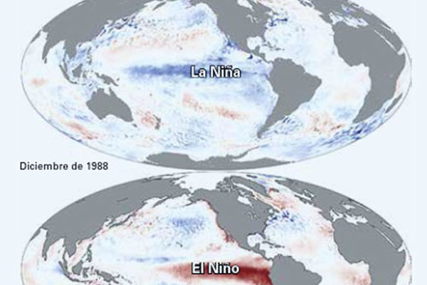 Mapas de las anomalías de las temperaturas de superficie en el océano Pacífico durante fuertes episodios de La Niña y El Niño