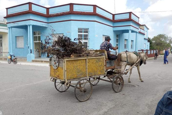 Trabajadores de Servicios Comunales en Guáimaro en plena faena de higienización del poblado
