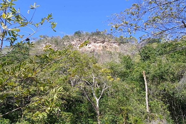 Perfeccionan manejo de ecosistemas priorizados en Ciego de Ávila