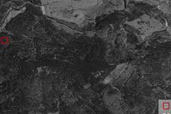 Cambios en los ecosistemas del planeta Tierra