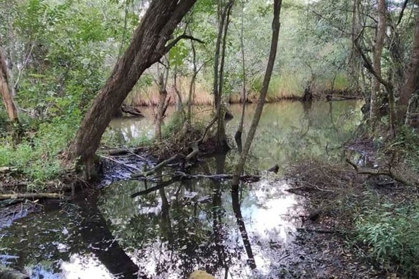 Refugio de Fauna El Venero. Fotos: Román/ACN