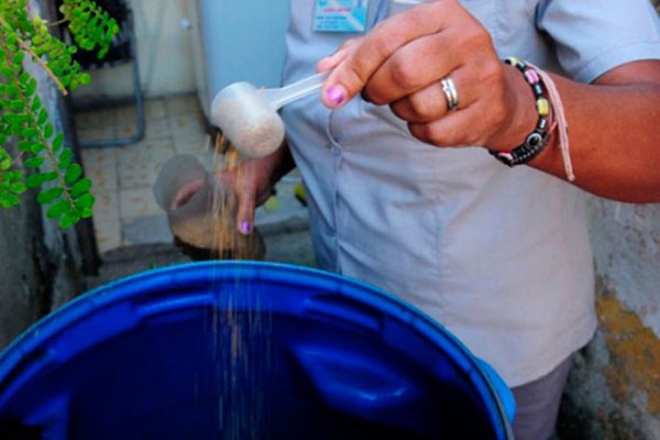 Batalla campal contra el mosquito Aedes aegypti.