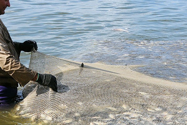 Acuicultura en Florida.