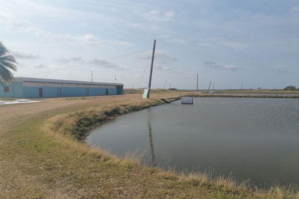 Empresa Pesquera de Camagüey (PESCACAM).