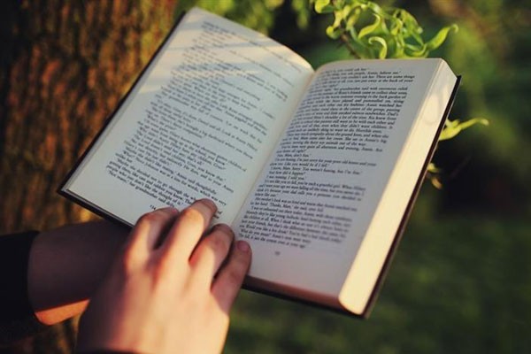 Día Internacional del Libro Infantil y Juvenil.