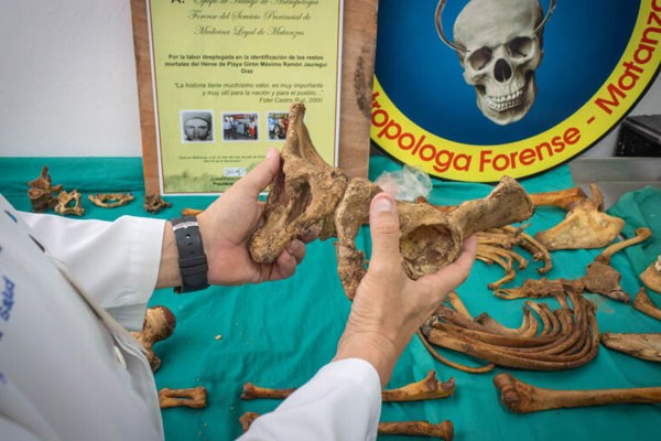 Jornada Territorial de Medicina Legal y Ciencias Auxiliares