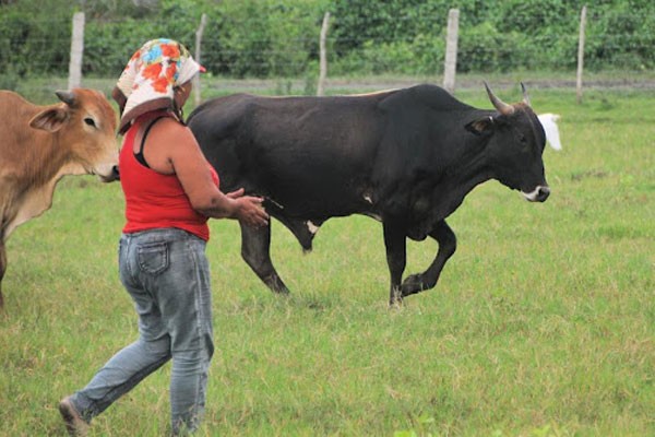Mujer campesina activa en la producción de alimentos