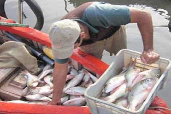 Empresa Pesquera de Camagüey (PESCACAM)