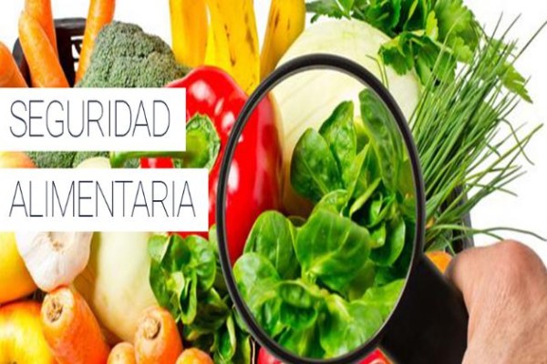 Seguridad alimentaria