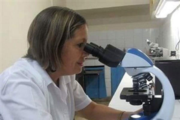 Foto: JIT Colaborador