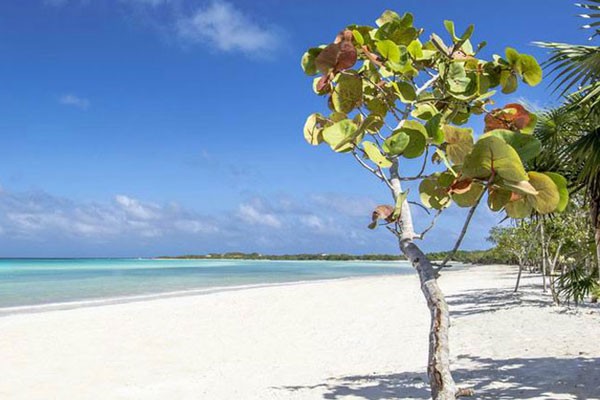 Jardines del Rey en Ciego de Ávila.