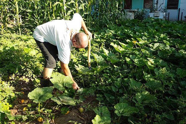 Producción de alimentos