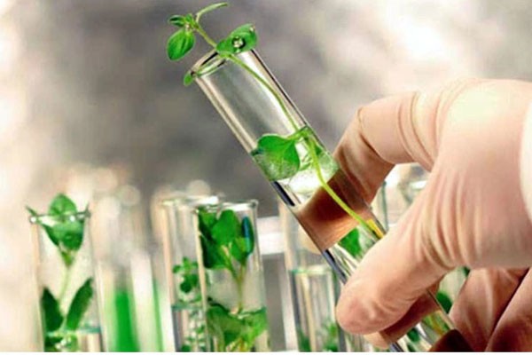 Ciencia y la innovación tecnológica 