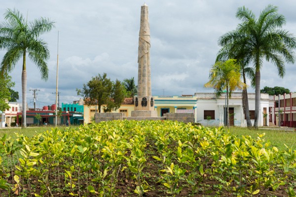 Parque Constitución