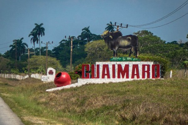 Guáimaro