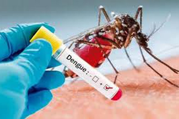 Dengue