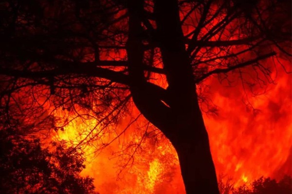 Incendios