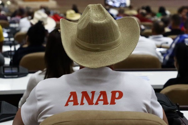 Reiteran campesinos cubanos apoyo a Venezuela