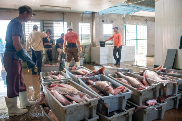 Grupo Pesquero evalúa en Camagüey su labor integral
