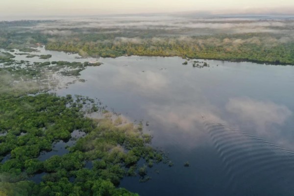 Deforestación del Amazonas seca los ríos voladores que riegan Sudamérica