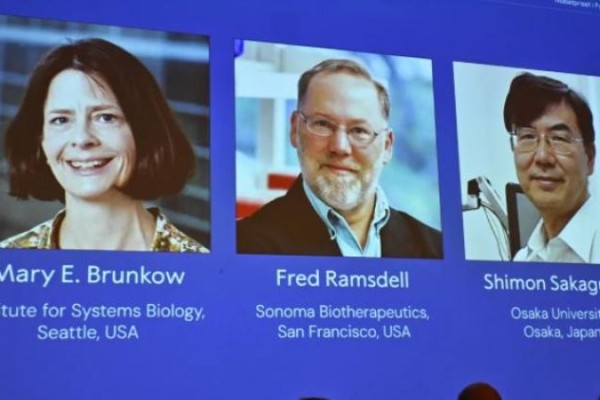 Reconocidos tres científicos con Premio Nobel de Medicina 2025