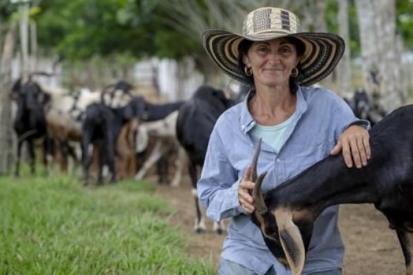 Camagüey will host a national event for Rural Women's Day.