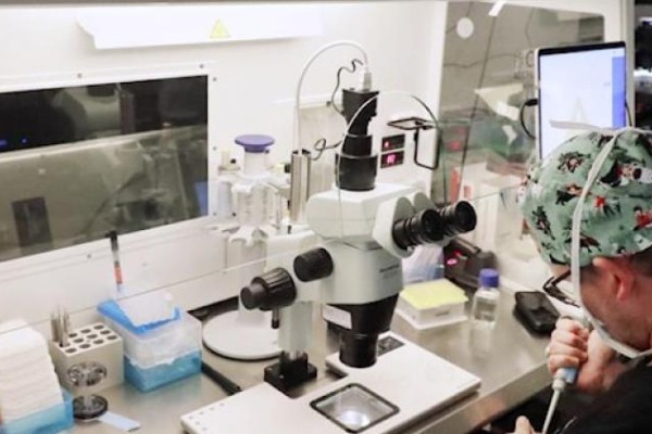 Mutaciones hereditarias de cáncer, más comunes de lo pensado