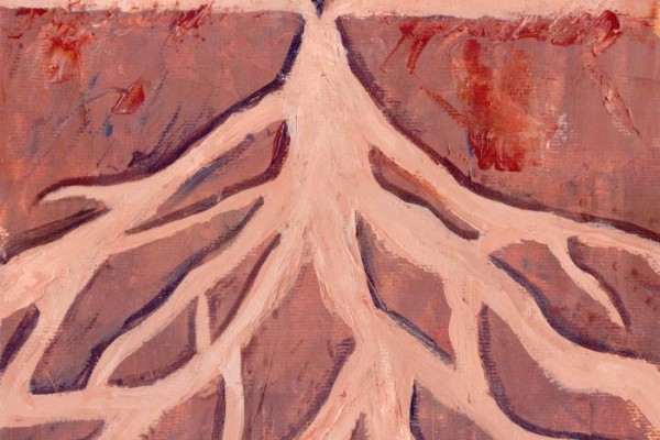 ¿Qué es la cultura?