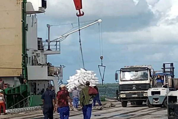 Priorizan distribución de canasta familiar normada en la provincia de Camagüey 