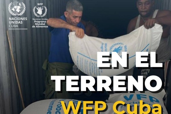 Despliega ONU ayuda anticipatoria en provincias orientales