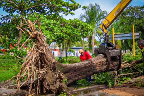Dos victorias de Cuba por la vida