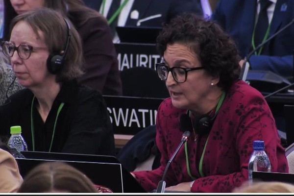 Cuba Reaffirms Defense of the Rights of the Palestinian People 