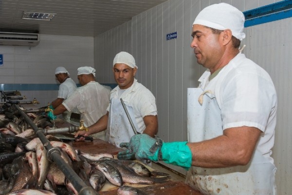 PESCACAM seeks to diversify markets