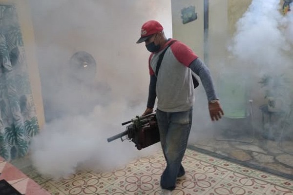 Intensified Efforts in Florida to Eliminate Aedes Aegypti (+Post)