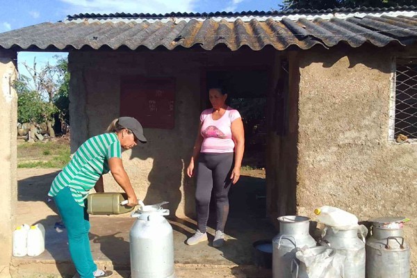Decrease in Milk Collection in Las Canteras (+ Photos) 