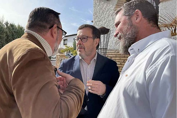 Pulse and Fragility in Spanish Politics 