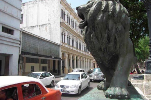 Lions of the Prado Captivate Tourists in Cuba (+Photos)