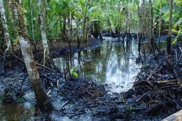 Affected Parties Consider the Compensation from Ecuador to Chevron Unfair