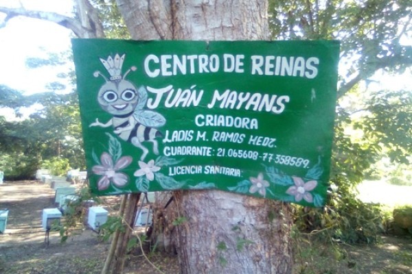 The Guaimareño René Lantigua and the Farm that Beats with Honey (+ PHOTOS)