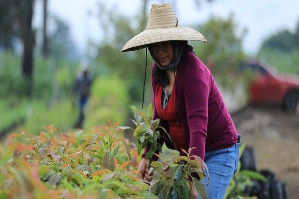 Rural women of Camagüey strengthen their role in food security