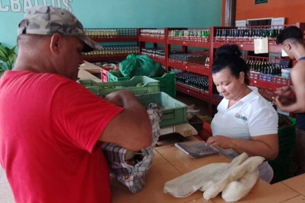 Mercado Frutiflorida, an essential option for Florida