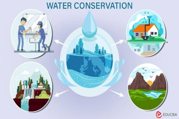 Water conservation, a survival strategy
