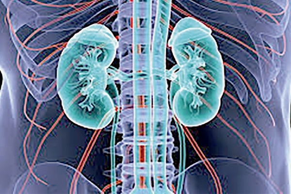 Chronic kidney disease can be detected early