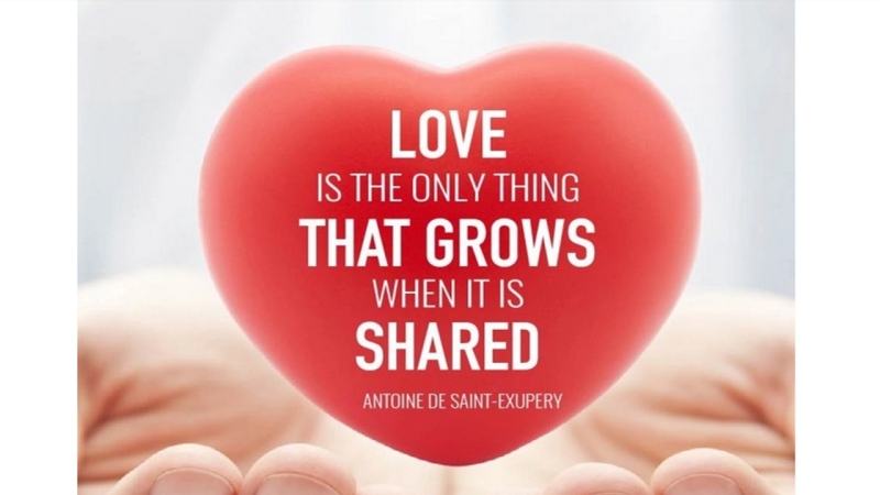 The Flame of Love and Friendship Illuminates Life (+ Post and Videos)