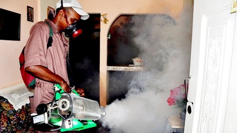 Workers from Vectors in Guáimaro eradicate mosquito breeding sites