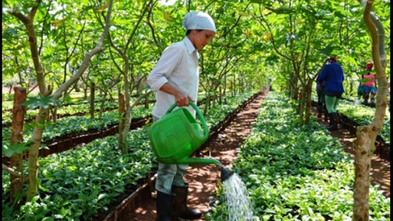 Agroecología 