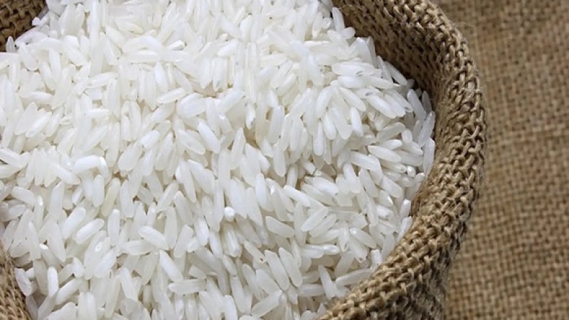 Arroz 