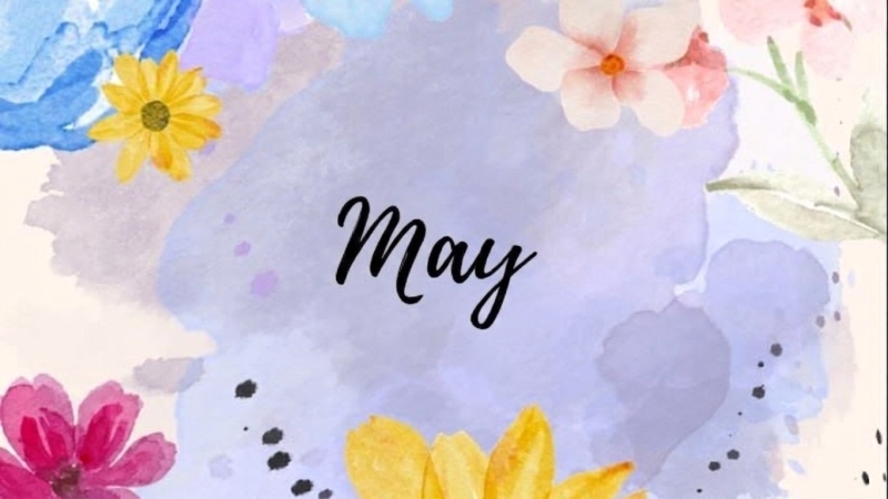 The light of May is a metaphor for consciousness