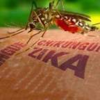 Dirigente del Partido en Camagüey verifica acciones para controlar la situación epidemiológica en Florida