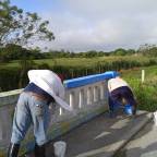Mejoran tramos en Camagüey de la Carretera Central (+ Fotos)